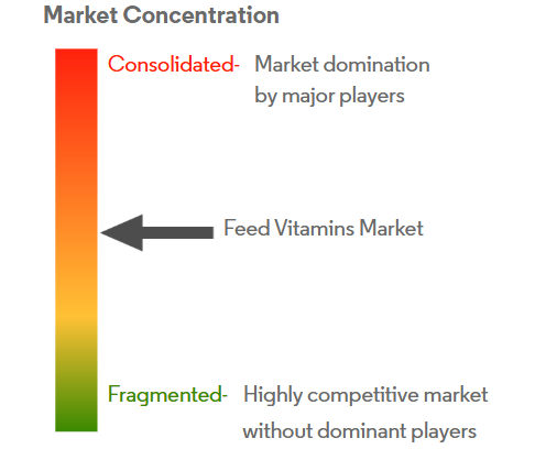 Feed Vitamins Market Concentration